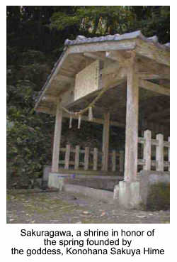 Sakuragawa, the shrine in honor of Konohana Sakuya Hime