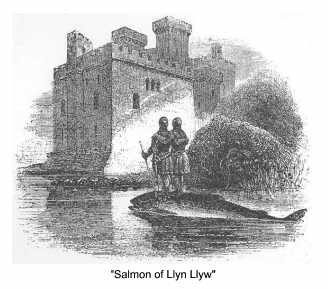 Salmon of Llyn Llyw