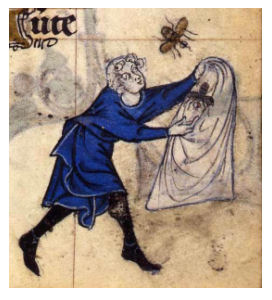 Medieval drawing of a man catching bees in a bag