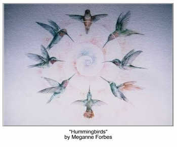 Spiraling hummingbirds by Meganne Forbes