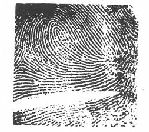 scarred fingerprint