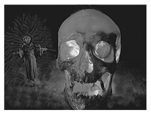 Skull and St. Francis