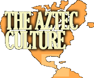 the aztec culture
