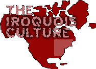 the iroquois culture