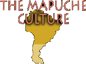 the mapuche culture